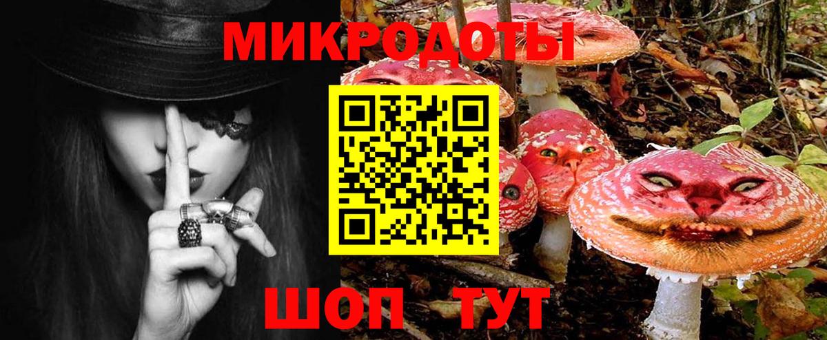 Галлюциногенные грибы мухоморы Обь
