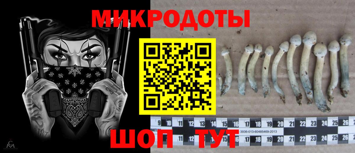 Обь  Псилоцибиновые грибы мухоморы  Вход с VPN 